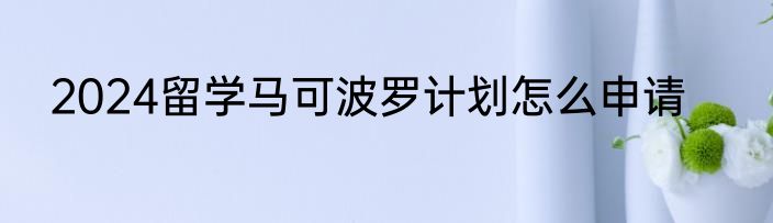 2024留学马可波罗计划怎么申请