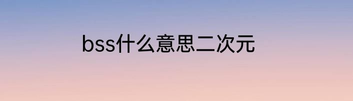 bss什么意思二次元