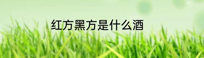 红方黑方是什么酒