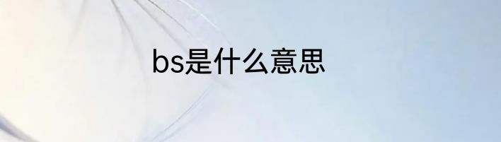 bs是什么意思