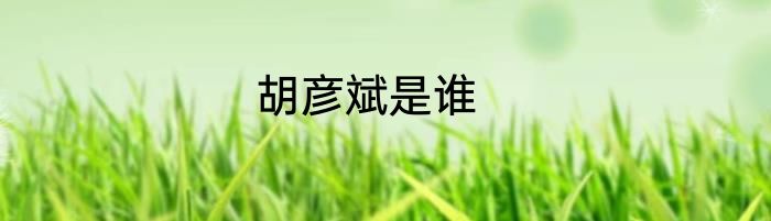 胡彦斌是谁
