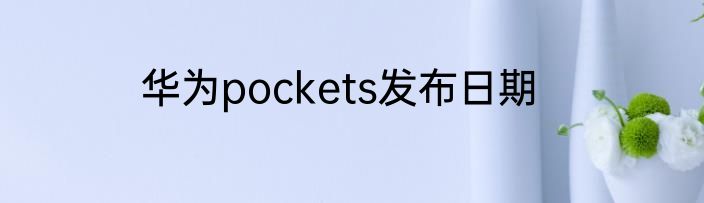 华为pockets发布日期
