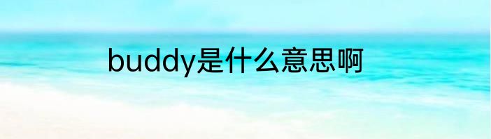 buddy是什么意思啊