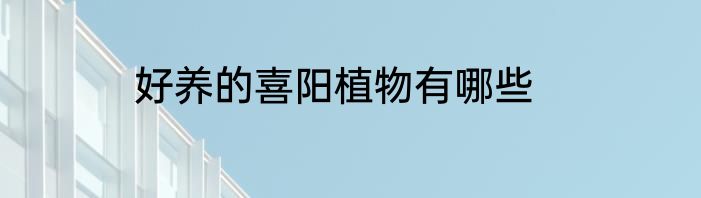 好养的喜阳植物有哪些