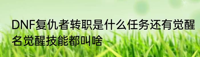 DNF复仇者转职是什么任务还有觉醒名觉醒技能都叫啥