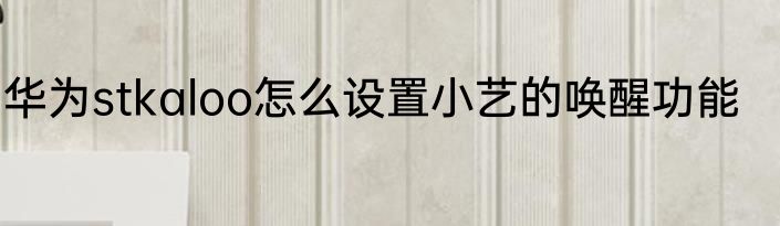 华为stkaloo怎么设置小艺的唤醒功能