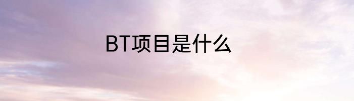 BT项目是什么