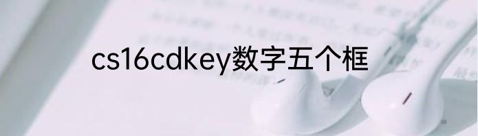 cs16cdkey数字五个框