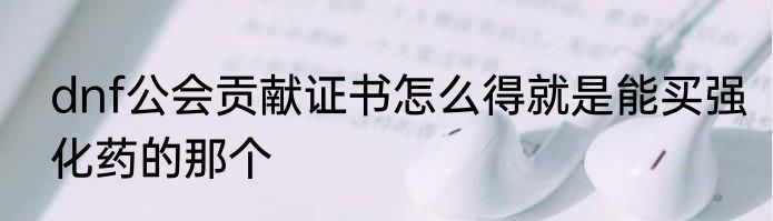dnf公会贡献证书怎么得就是能买强化药的那个