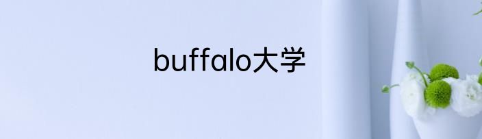 buffalo大学