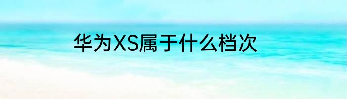 华为XS属于什么档次