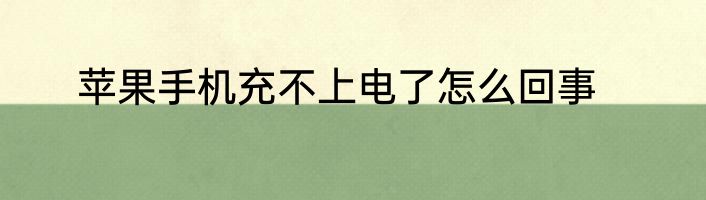 苹果手机充不上电了怎么回事
