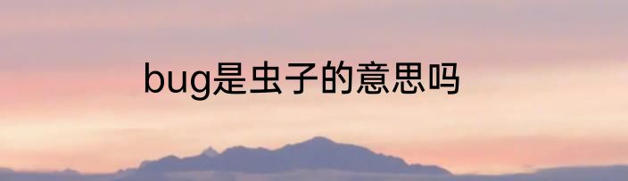 bug是虫子的意思吗