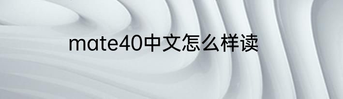 mate40中文怎么样读