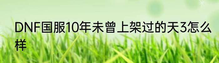 DNF国服10年未曾上架过的天3怎么样