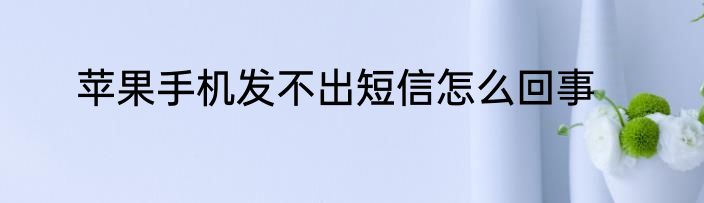 苹果手机发不出短信怎么回事