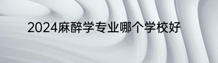 2024麻醉学专业哪个学校好