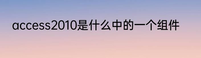 access2010是什么中的一个组件