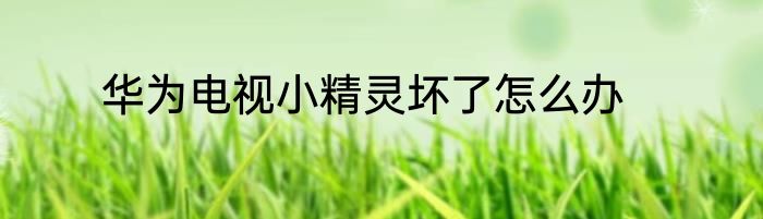 华为电视小精灵坏了怎么办