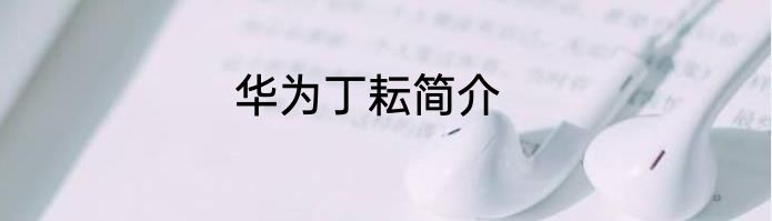 华为丁耘简介