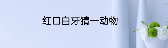 红口白牙猜一动物