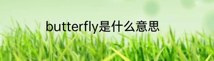 butterfly是什么意思
