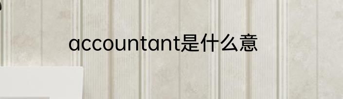 accountant是什么意