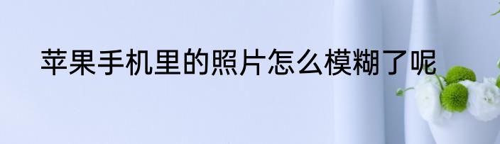 苹果手机里的照片怎么模糊了呢