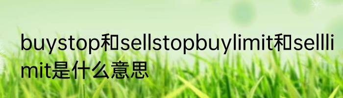 buystop和sellstopbuylimit和selllimit是什么意思