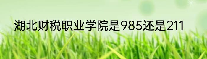 湖北财税职业学院是985还是211