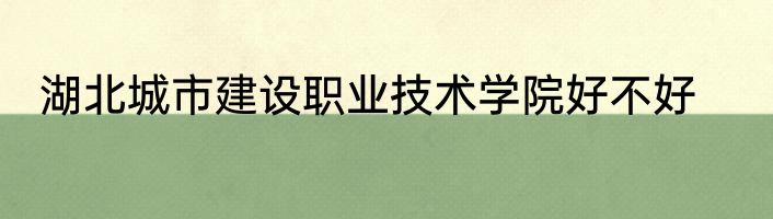 湖北城市建设职业技术学院好不好