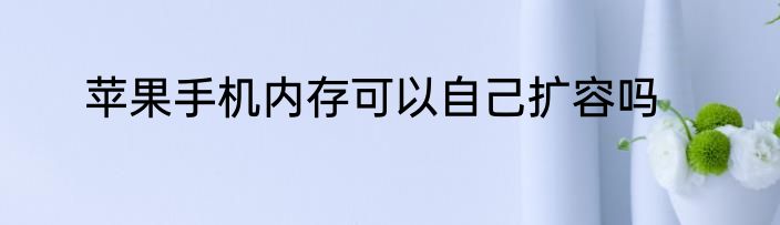 苹果手机内存可以自己扩容吗