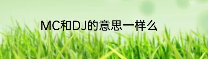 MC和DJ的意思一样么