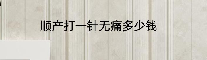顺产打一针无痛多少钱