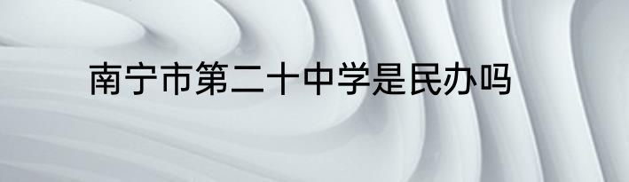南宁市第二十中学是民办吗