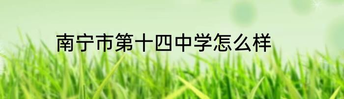 南宁市第十四中学怎么样