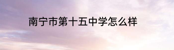 南宁市第十五中学怎么样