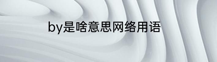 by是啥意思网络用语