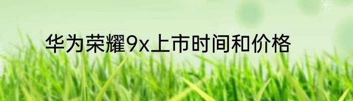 华为荣耀9x上市时间和价格