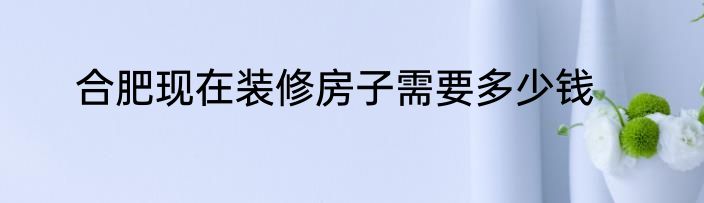 合肥现在装修房子需要多少钱