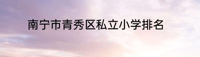 南宁市青秀区私立小学排名