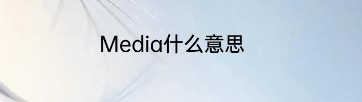Media什么意思