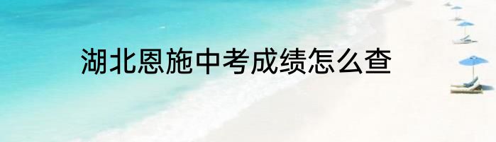 湖北恩施中考成绩怎么查