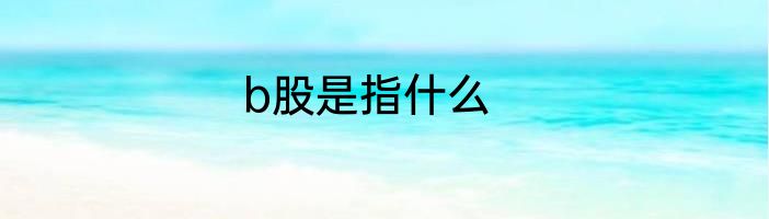 b股是指什么