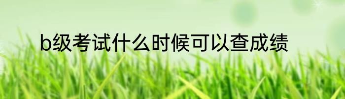 b级考试什么时候可以查成绩