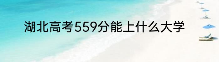 湖北高考559分能上什么大学