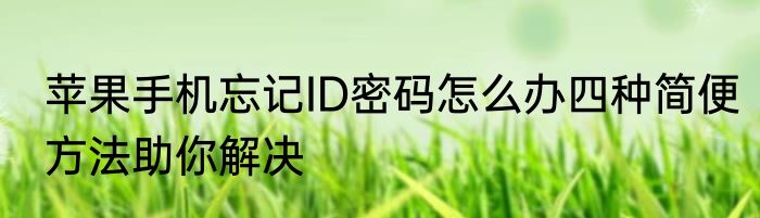 苹果手机忘记ID密码怎么办四种简便方法助你解决