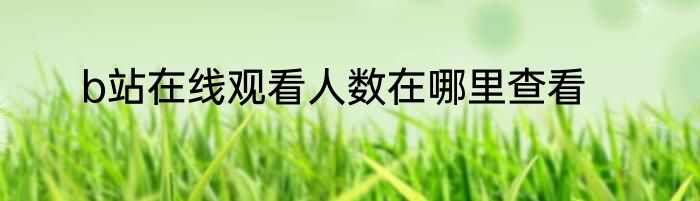 b站在线观看人数在哪里查看