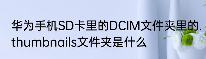 华为手机SD卡里的DCIM文件夹里的.thumbnails文件夹是什么