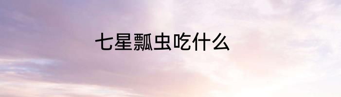 七星瓢虫吃什么